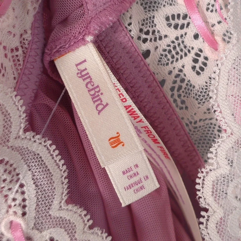 ANTHROPOLOGIE LYREBIRD Womens New Panties Lingeries MEDIUM Lace Mesh Pink